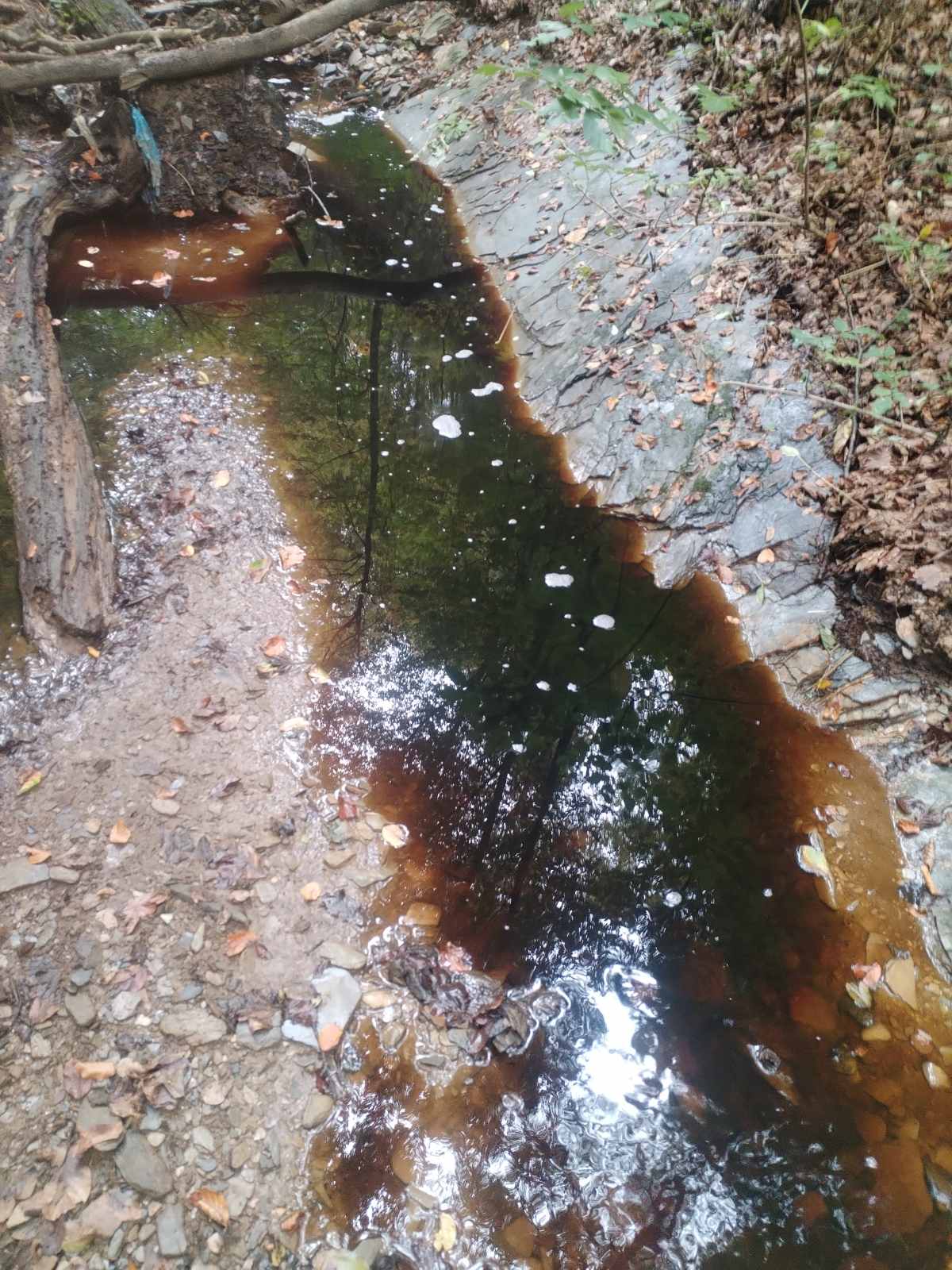 Turski potok je ekološki mrtav!